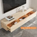Acero Modern TV Unit with Storage - Image 4