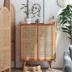 Havvy 4 Shelves Shoe storage Cabinet - Image 5