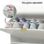 Chac Shoe Storage Cabinet - Image 5