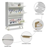 Chac Shoe Storage Cabinet - Image 6
