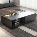 Cela modern coffee table with storage