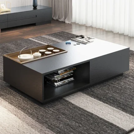 Cela modern coffee table with storage