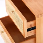 Katilo Nightstand Rattan and natural wood - 2 drawers - Image 6