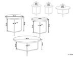Alice Natural wood with Metal Coffee tables - Set of 3 - Image 7