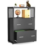 File Cabinet, Letter/Legal / A4 Size Filing Cabinet with 2 Drawers - Image 11