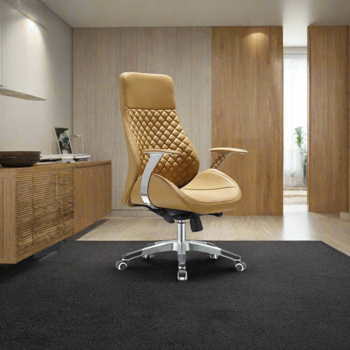 High quality director chair - leather - OMD-259 - Image 1