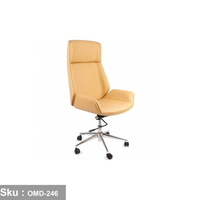 High quality director chair - leather - OMD-246 - Image 2