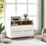 File Cabinet, 2 Drawer Rolling Lateral Filling Cabinet Printer Stand - Image 5