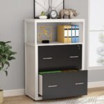 File Cabinet, Letter/Legal / A4 Size Filing Cabinet with 2 Drawers - Image 10