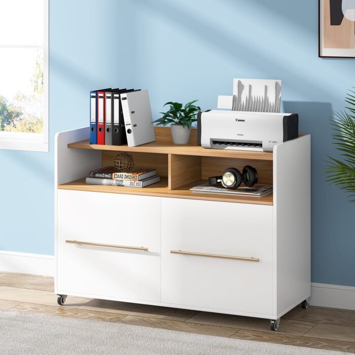 File Cabinet, 2 Drawer Rolling Lateral Filling Cabinet Printer Stand - Image 4