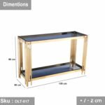 Thermal paint console - OLT-017 - Image 3