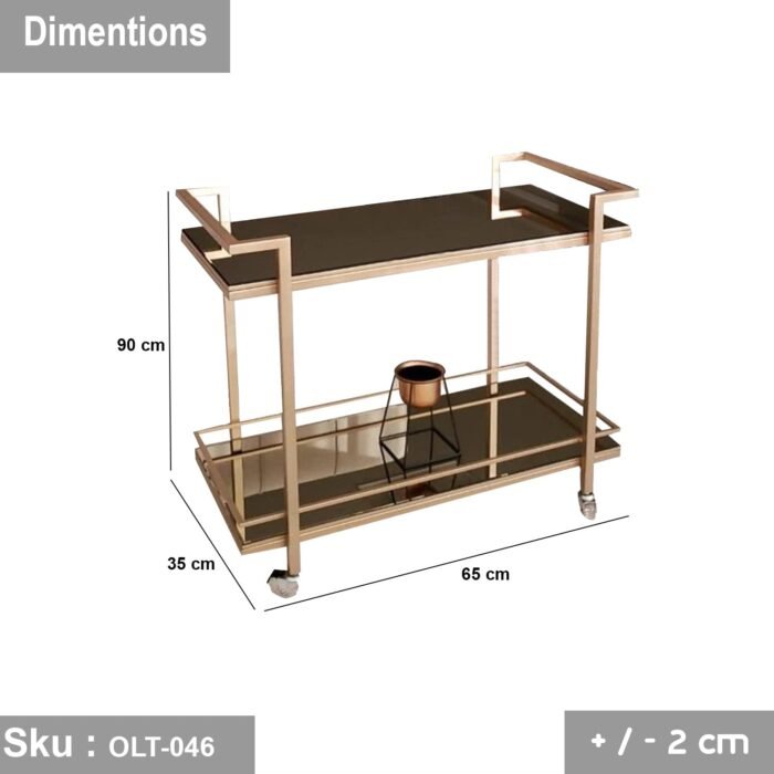 Thermal paint trolley - OLT-046 - Image 3