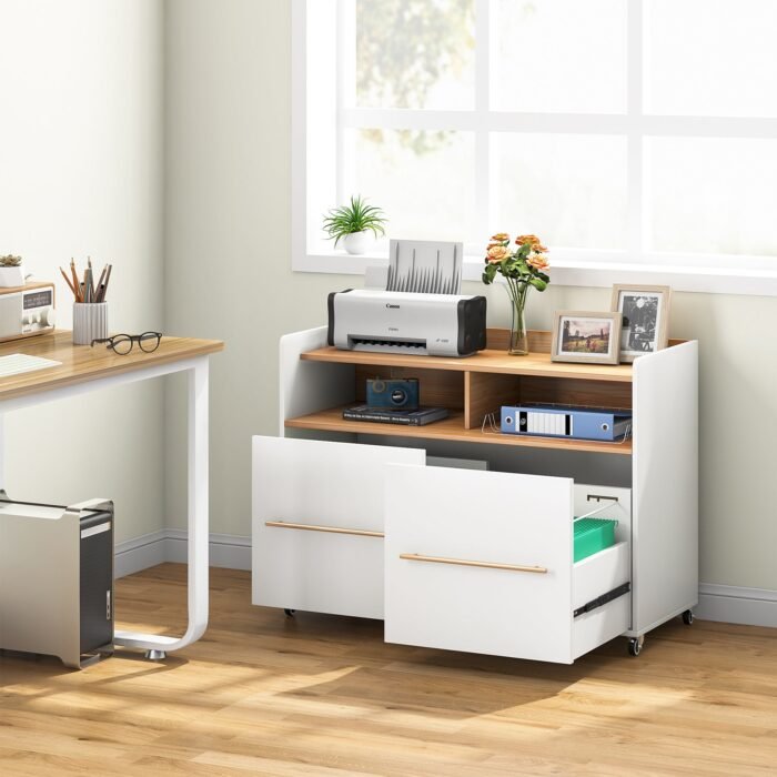 File Cabinet, 2 Drawer Rolling Lateral Filling Cabinet Printer Stand - Image 6