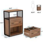 File Cabinet, Letter/Legal / A4 Size Filing Cabinet with 2 Drawers - Image 9