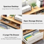 File Cabinet, 2 Drawer Rolling Lateral Filling Cabinet Printer Stand - Image 7