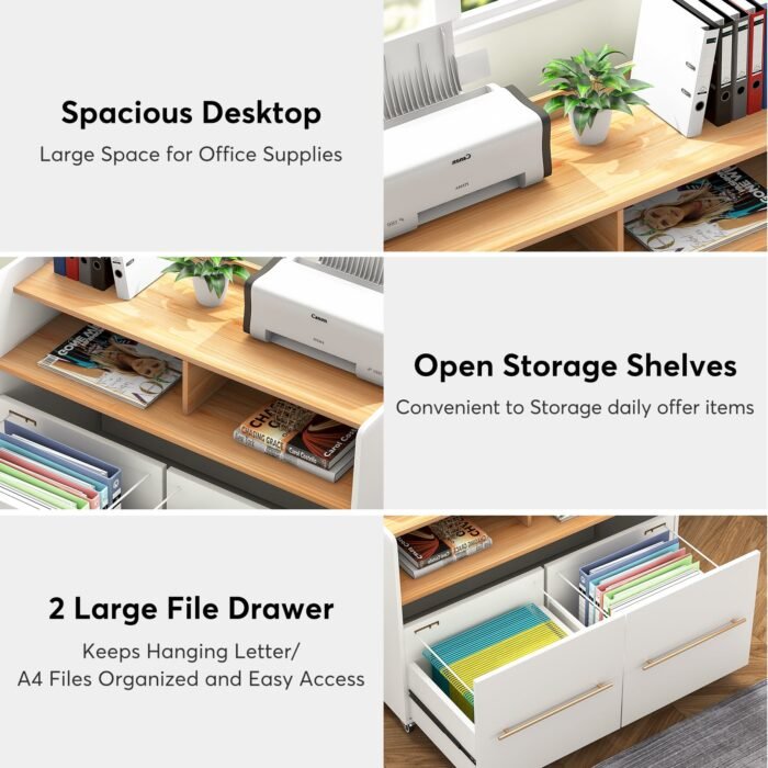 File Cabinet, 2 Drawer Rolling Lateral Filling Cabinet Printer Stand - Image 7