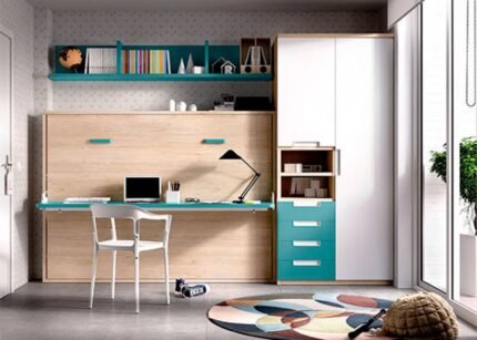 Studio with horizontal folding bed with folding desk and wardrobe