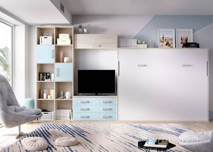 Living room with a horizontal folding double bed and bookcases - Image 1