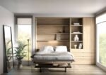 Living room with double vertical folding bed and bookcase