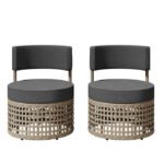 Cateline Wicker Outdoor Armless Lounge Chair (Set of 2)