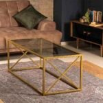 Exoma coffee table 100 * 50 glass